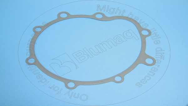 Gasket (water pump) Blumaq 222-3901