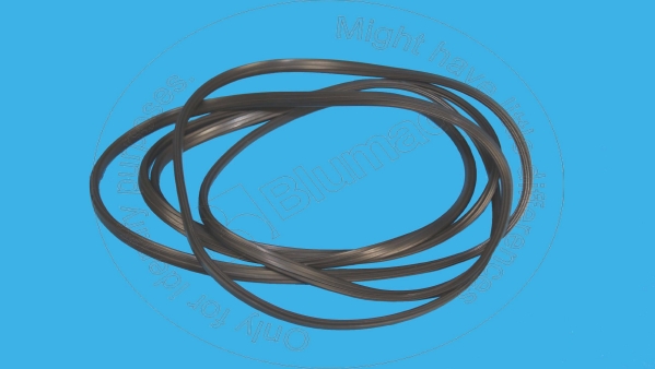 Gasket Blumaq 285-4106