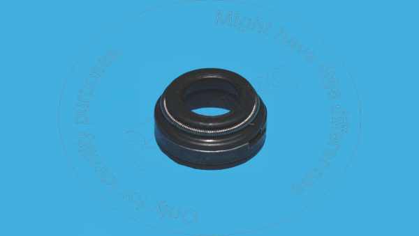 Valve seal Blumaq VOE859171