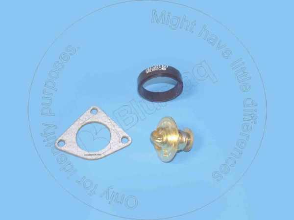 Thermostat Blumaq 3802273