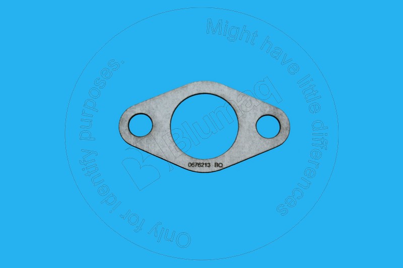 Gasket (crankcase oil motor) Blumaq 067-6213