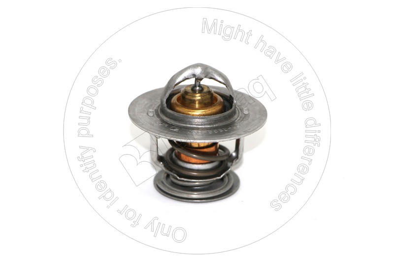 Thermostat Blumaq 126-5869