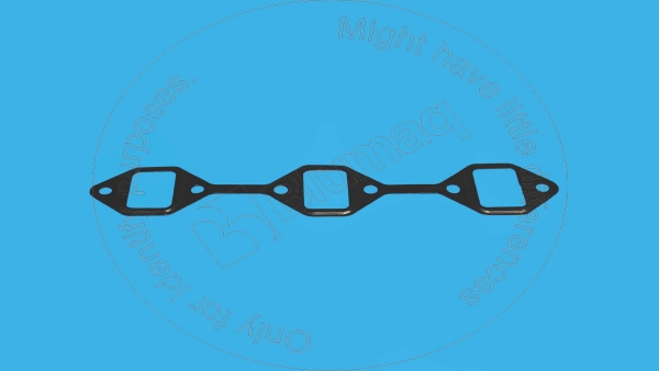 Gasket Blumaq 5I7681