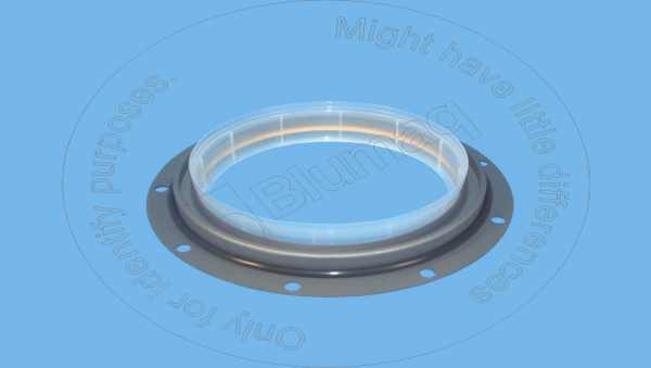 Crankshaft seal Blumaq 285-4073