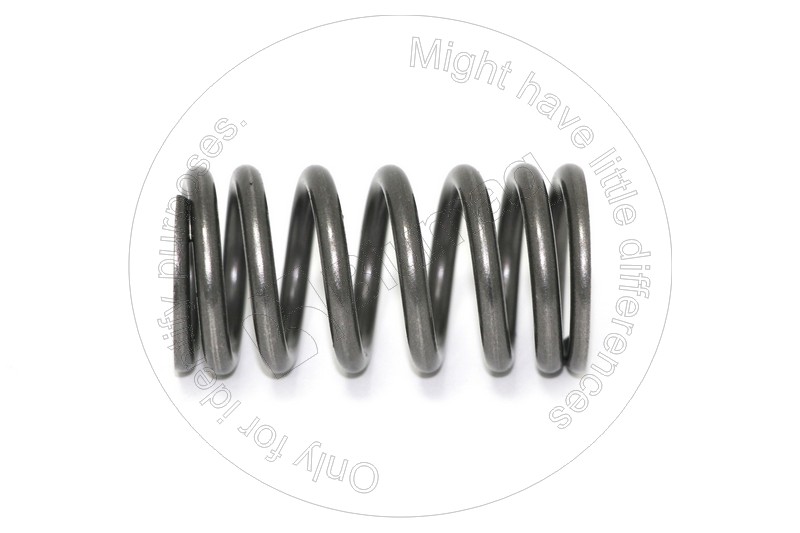 Valve spring Blumaq 332-2152