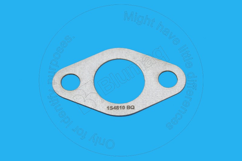 Gasket Blumaq 1S4810