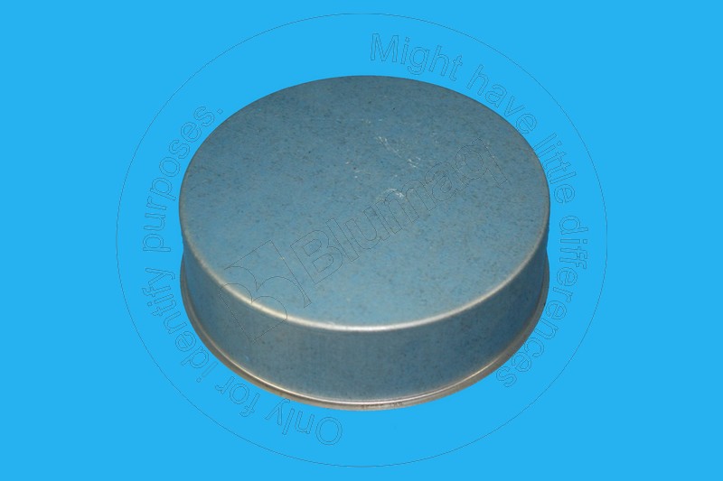 Bushing Blumaq 2098228