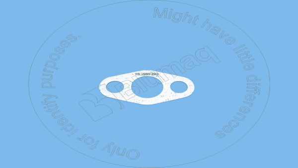 Gasket Blumaq 1S6595