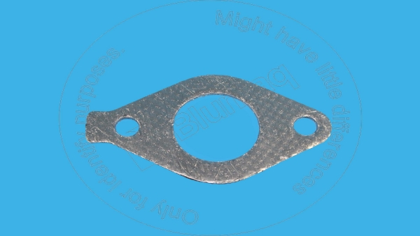 Gasket Blumaq 161-3411