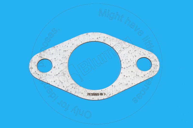 Gasket Blumaq 7E5555