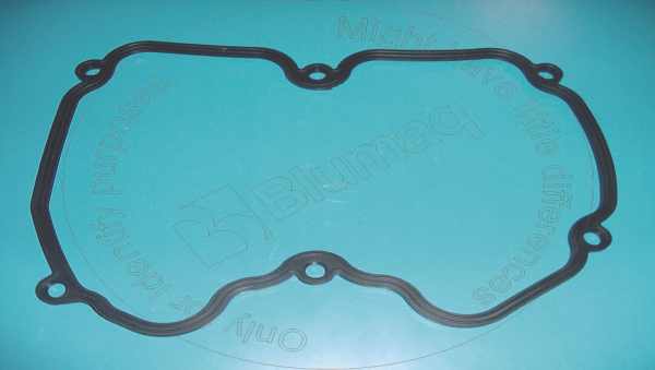 Gasket Blumaq 242-9537