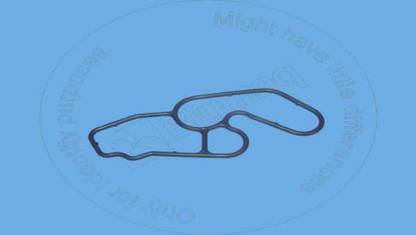 Gasket Blumaq VOE20459212