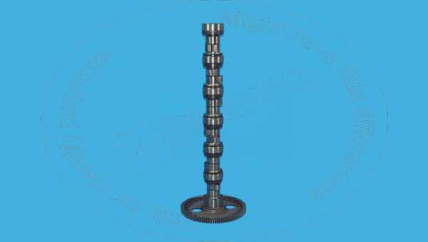 Camshaft Blumaq 216-7921