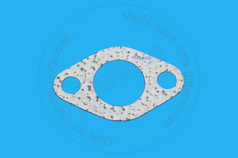 Gasket Blumaq 4N0699