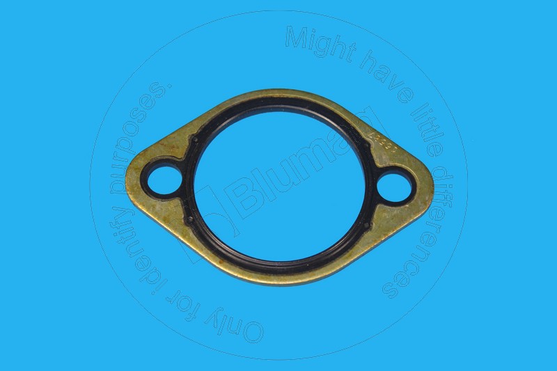 Gasket (front cover) Blumaq 234-8937