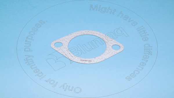 Gasket Blumaq 7C0307