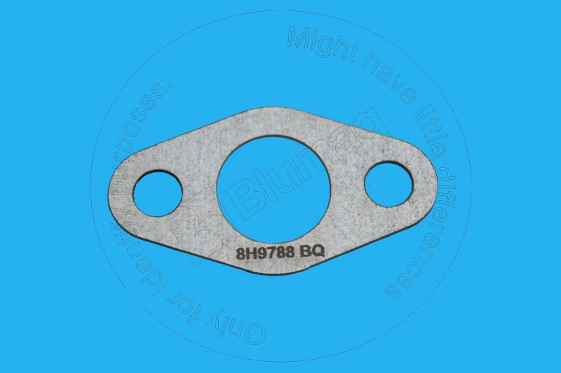 Gasket Blumaq 8H9788