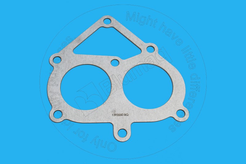 Gasket Blumaq 139-3550