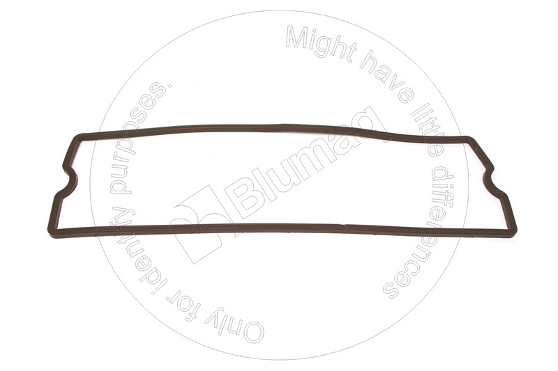 Gasket Blumaq 101-3674