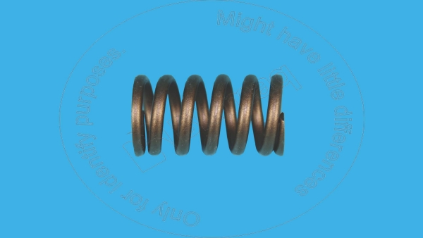 Valve spring Blumaq 7S7144