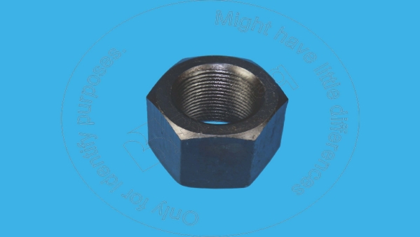 Sprocket nut (segment) Blumaq 2M5656