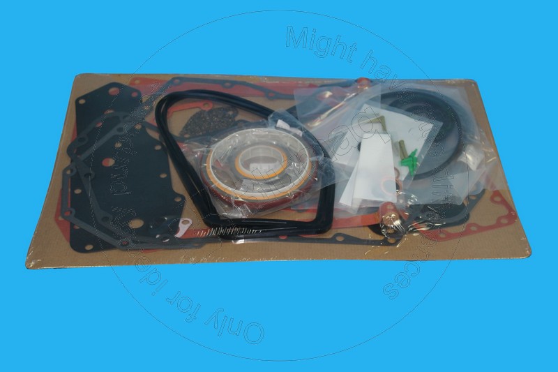 Gasket kit Blumaq 3802376