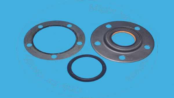 Crankshaft seal Blumaq 3804304