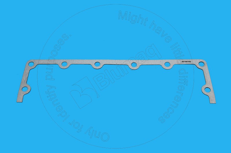 Gasket (crankcase oil motor) Blumaq 4N7266