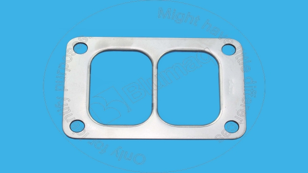 Gasket Blumaq 1S4295