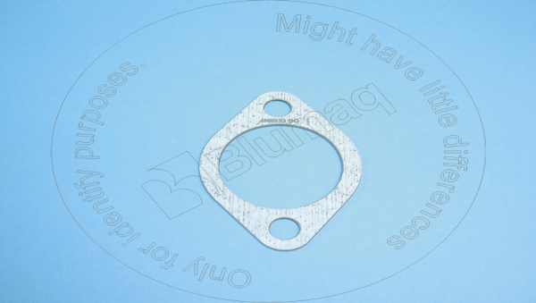 Gasket Blumaq 4N0933