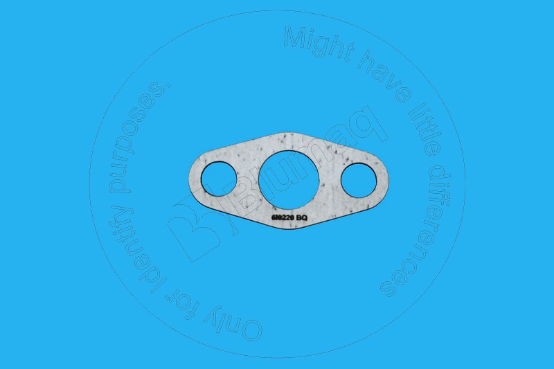 Gasket Blumaq 6I0220