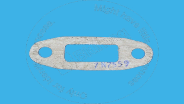 Gasket Blumaq 7N7559