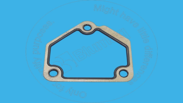 Gasket Blumaq 285-0365