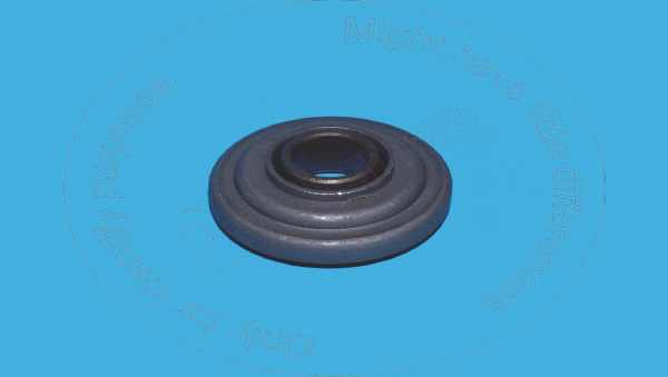 Seal Blumaq 4W2474