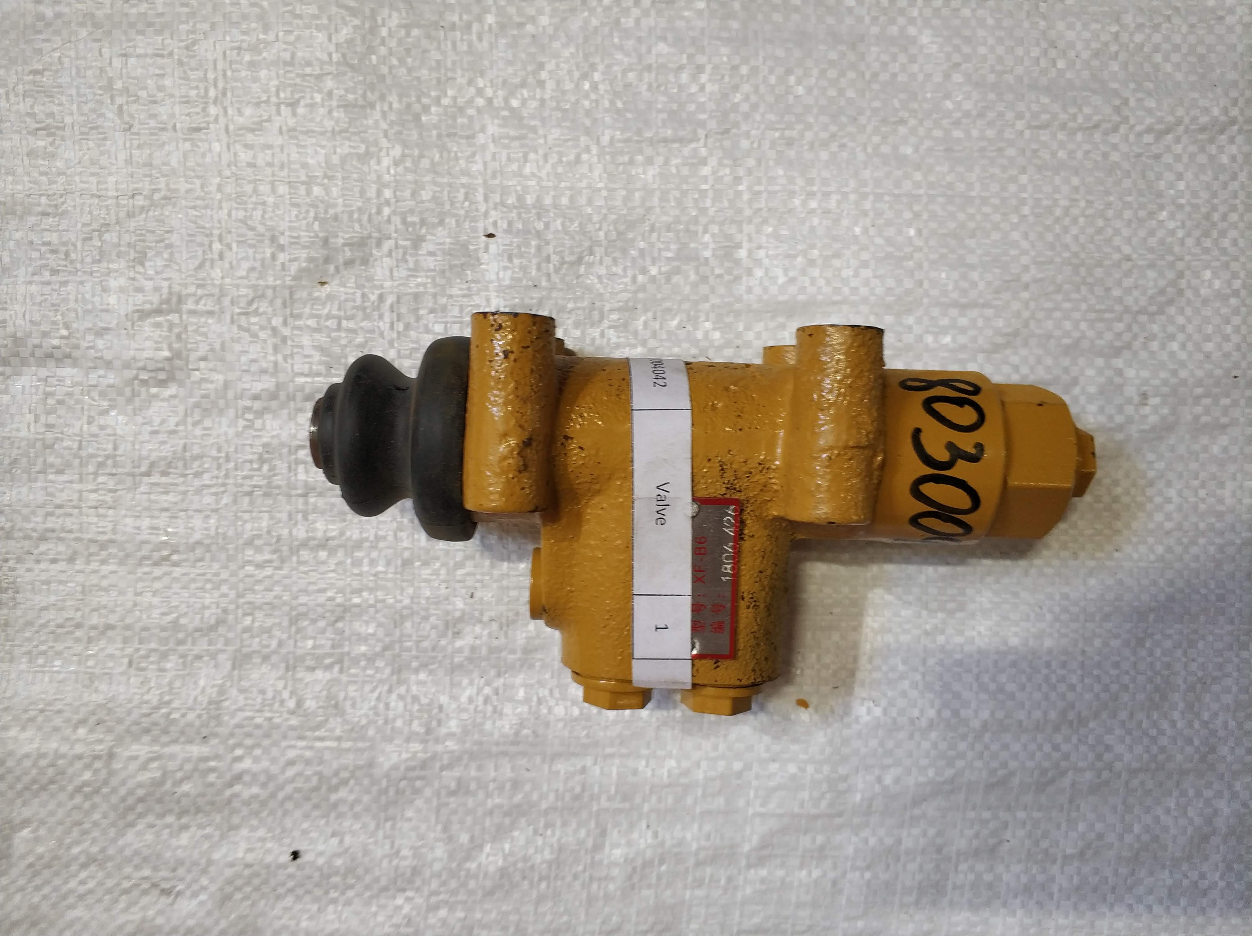 Valve XCMG 803004042