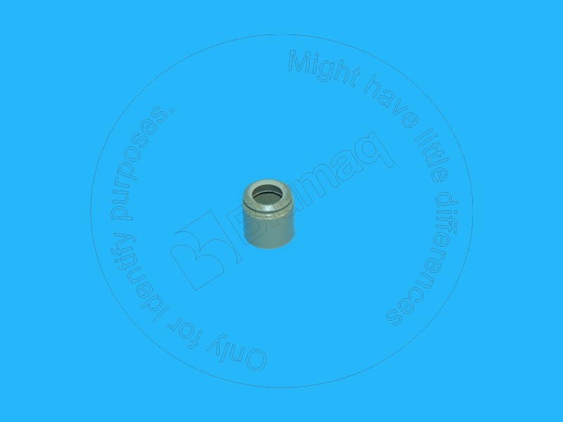 Valve seal Blumaq 2418M506