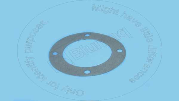 Gasket Blumaq 101-3125