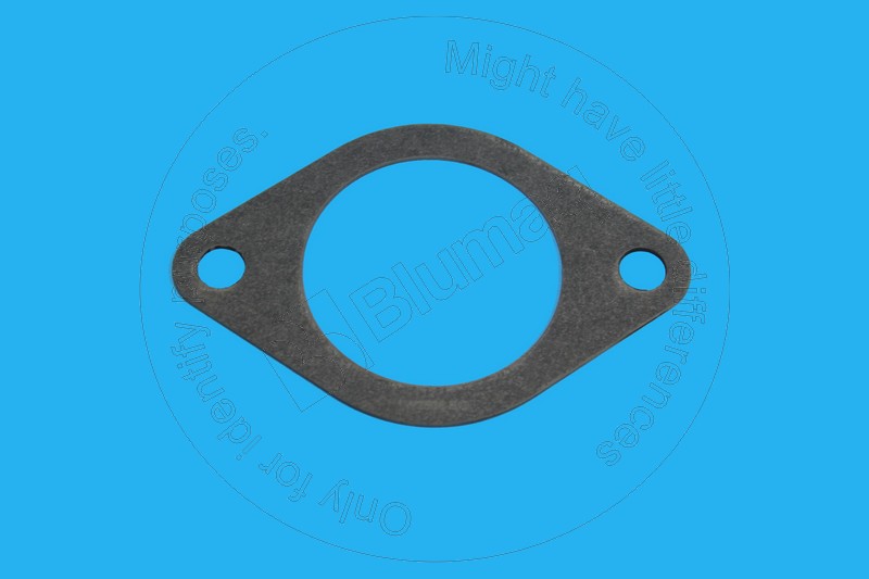 Gasket Blumaq 1W2636